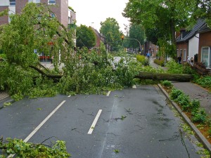 Unwetter Sturm